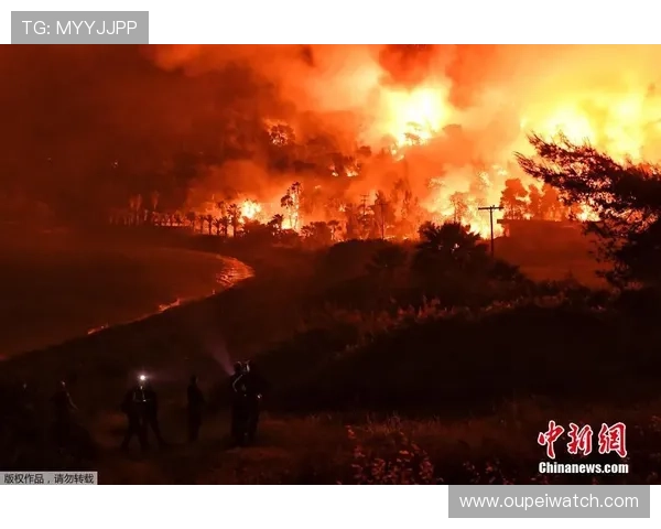 滚球是什么运动品牌入口下载评测防骗避坑